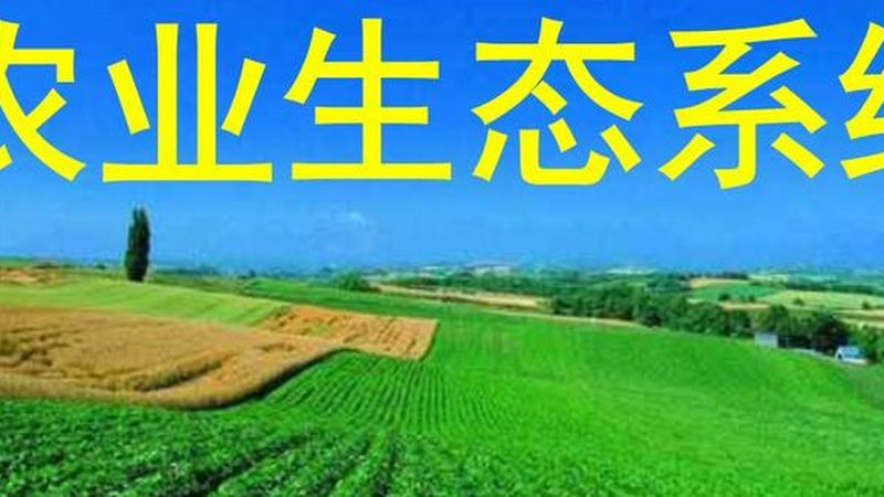 河南智慧农业水肥一体化设备：如何实现精准灌溉与施肥？**