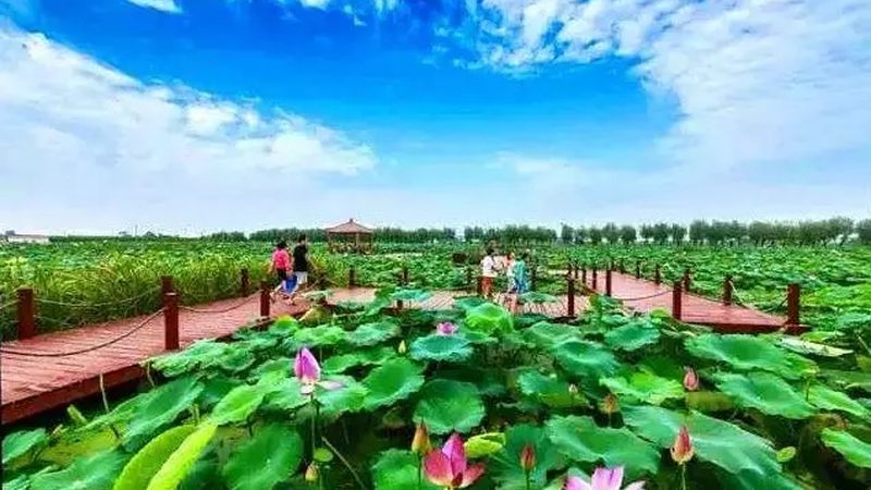 绿色食品加工企业认证推荐