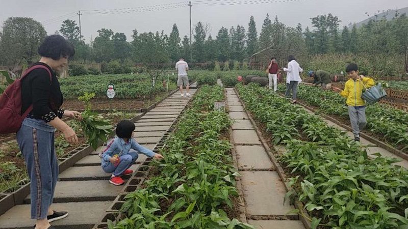 企业食堂生鲜配送成本控制：策略与要点