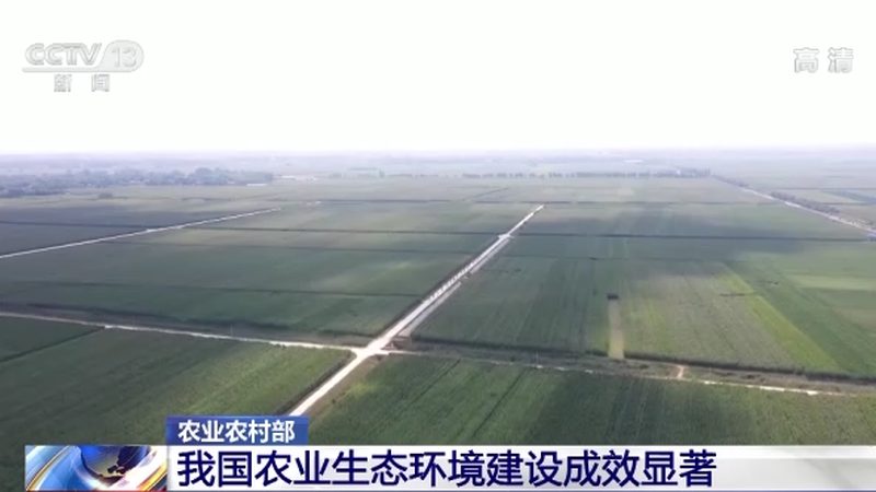 农产品分拣配送设备厂家排名