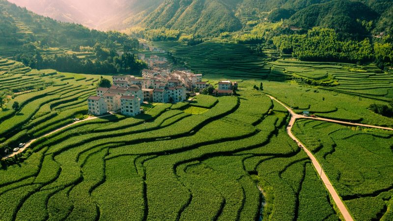 无人机植保服务代理：如何选择与实施