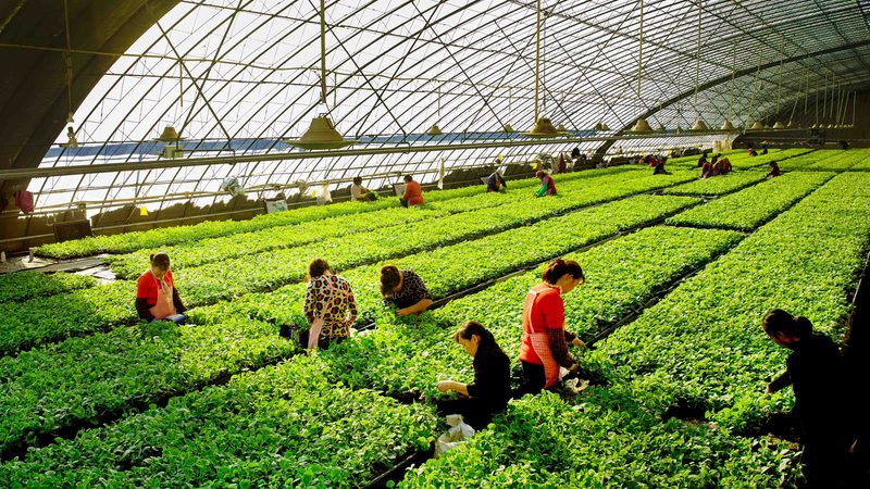 设施农业项目申报，需要准备以下材料：