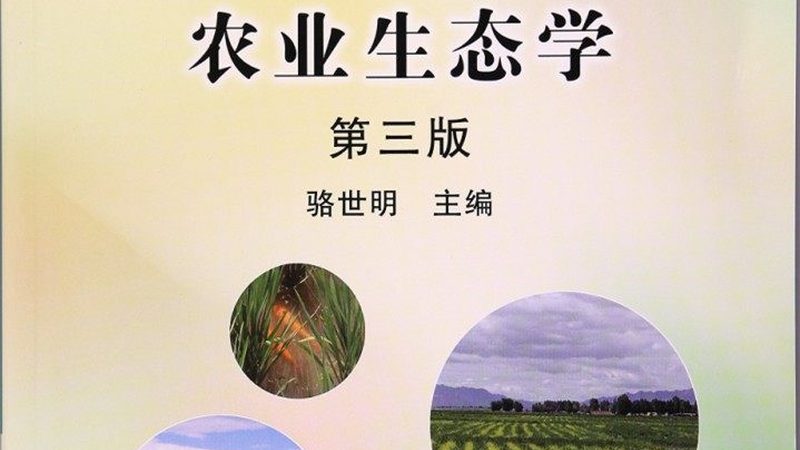 城市农业：如何打造高效生态种植模式**