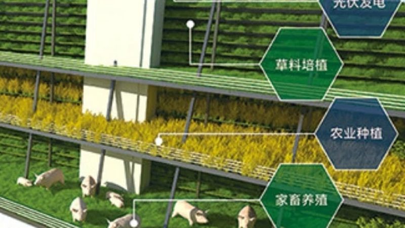 农民专业合作社注销背后的法律与行业思考