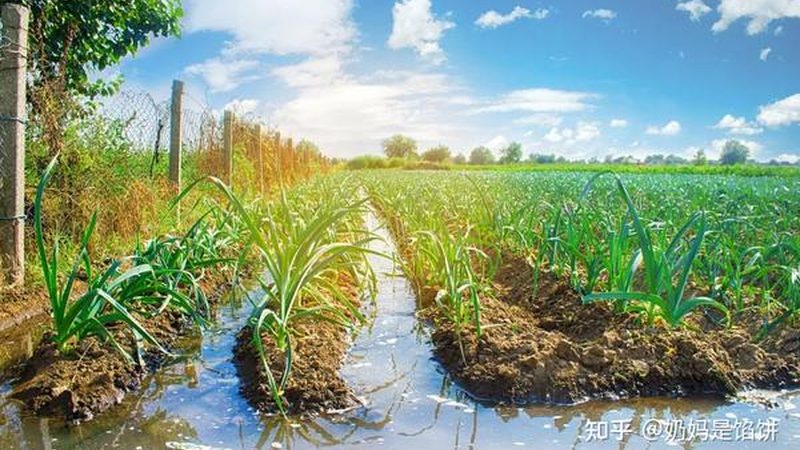 生鲜冷链物流运输注意事项：保障食品安全的关键环节