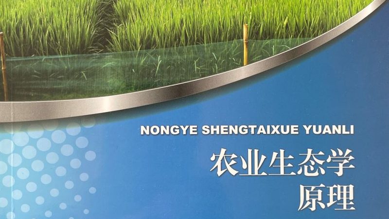 广州农产品批发档口性价比评估：如何从源头把控品质**