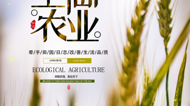 大棚西瓜种植成本解析：亩均投入解析与优化策略**